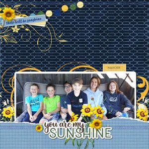 You Are My Sunshine