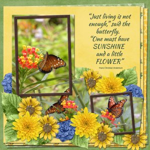 "Just LIVING is not enough" said the butterfly.