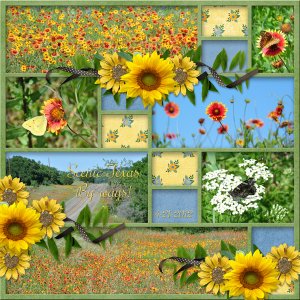 Scenic Texas By-Ways
