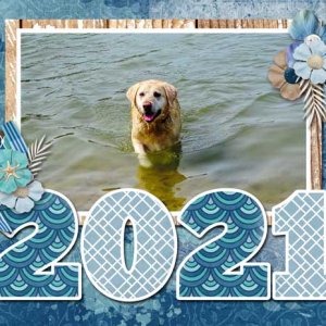 2021 calendar cover