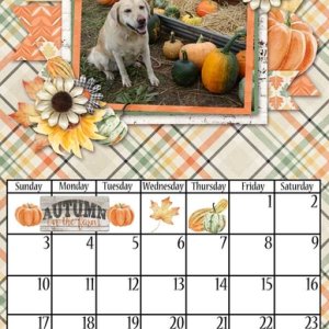 2021 Center Fold 8.5x11 Calendar Templates