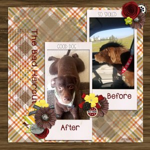 Groomer