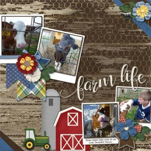 farm life