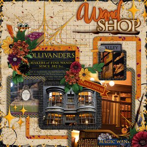 Wand Shop