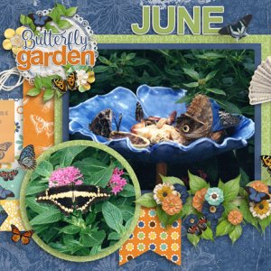 2021 June Calendar Top
