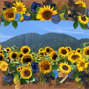 Sunflower Festival