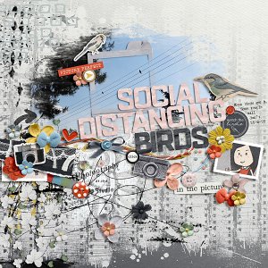 Social distancing birds