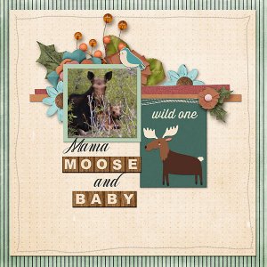 Moose-copy