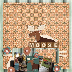 Moose - DSD Grab Bag