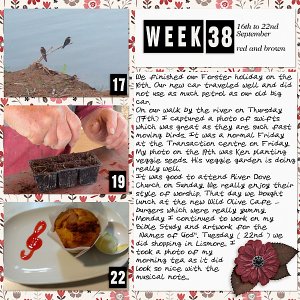 Project Life 2020 - Week 38