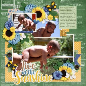 Live in the Sunshine