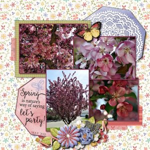 Spring Blossoms