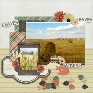 At_the_patch1
