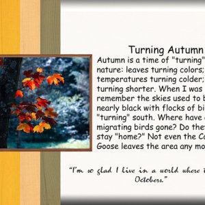 Turning Autumn