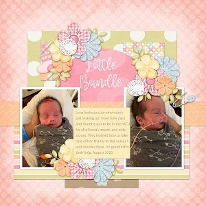 Little Bundle