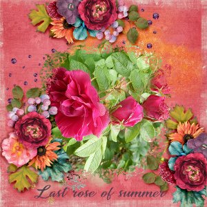 Last-rose-of-summer