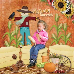 Harvest and Hayrides