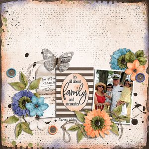 family memories