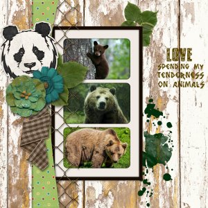 Bears