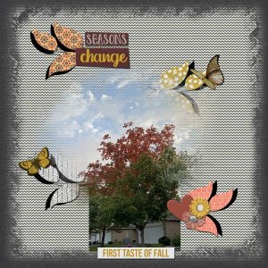 Seasons Change