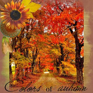 DSD PrelP Decorate Borders Challenge