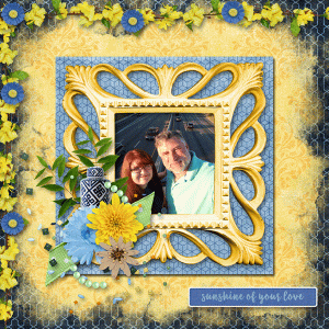 Sunshine of Your Love
