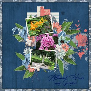 Altamont House and Gardens