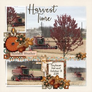 Harvest Time