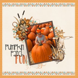 Pumpkin Patch Fun