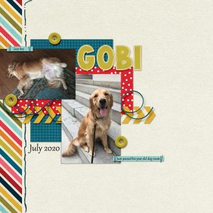 2020_07-Gobi