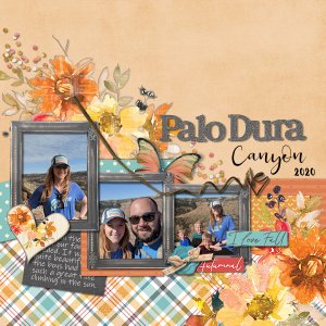 Palo Dura Canyon 2020