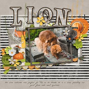 Lion