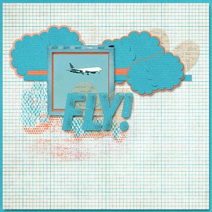 Fly