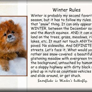 Winter Rules