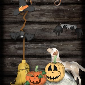Spooky