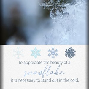 ATC 2020-142 Winter