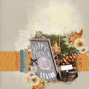 Scraplift Oct 2020