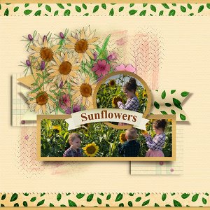 Sunflowers