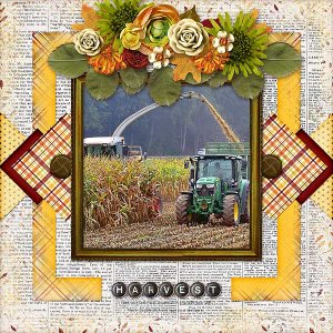 Harvest