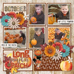 Pumpkin Patch