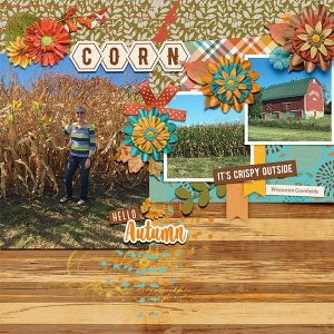 Wisconsin Corn