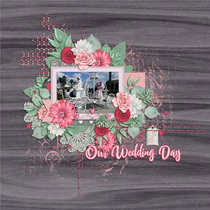 Our Wedding