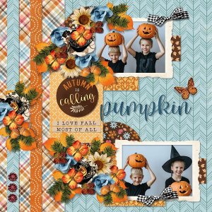 T. Autumn is here 2