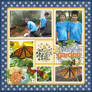 Butterfly Garden