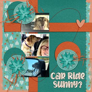 Car Ride Sunny