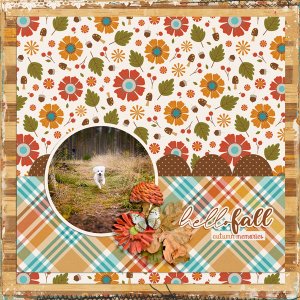 Hello Fall!