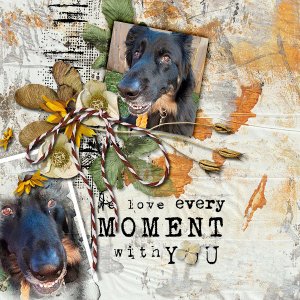 Love Every Moment with You