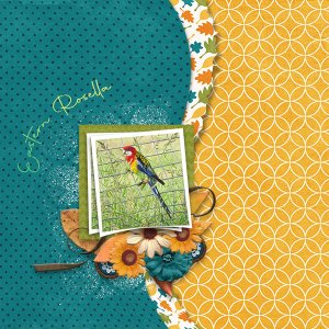 Eastern Rosella