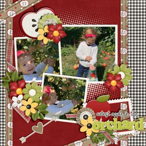 Cutest-Apple-In-The-Orchard