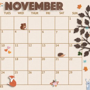 november desktop 2020